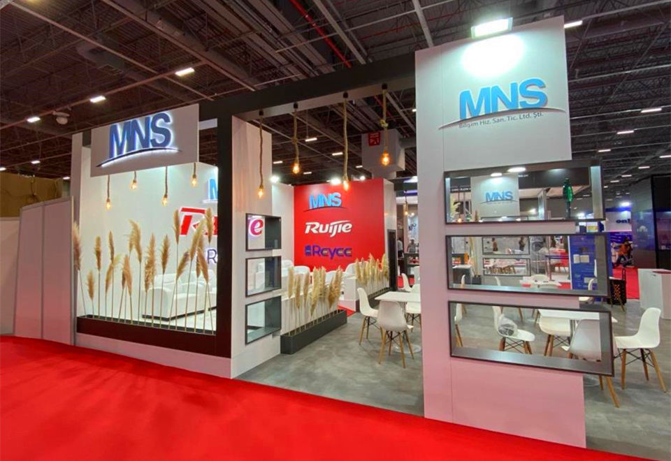 MNS